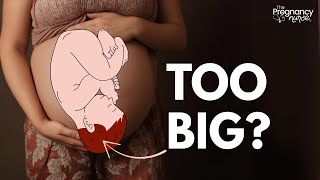 Celebrity Baby Measuring Large?  What to Do If Baby is Big? Profile