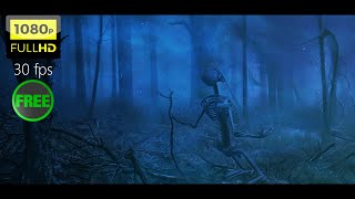 Skeleton In The Woods - Full HD