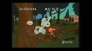 Abc Family Airing Of Snoopy Come Home part 4