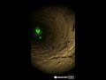 playing monkey up trying to get 80 subs