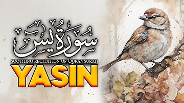 Surah Yasin (Yaseen) سورة يس | Relaxing Voice Luminous Quran
