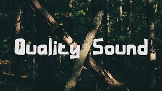 NURII ft. Nathan Brumley - Fly Away