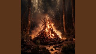 Peaceful Fire Echoes for Canine Calm