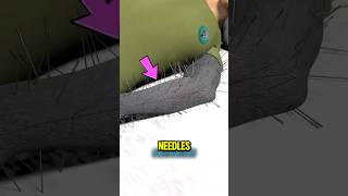 Why Your Arm Falls Asleep The Shocking Truth!