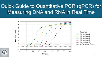 Quick Guide to Quantitative PCR (qPCR) for Measuring DNA and RNA in Real Time