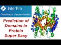 Interpro  how to know about domain in protein structure  their function in 5 mins  bioinformatics