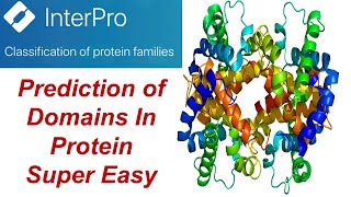 InterPro | How To Know About Domain In Protein Structure & Their Function in 5 mins | Bioinformatics