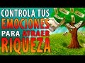 Cómo controlar tus emociones para atraer riqueza a tu vida | Emociones que impiden tu éxito