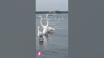 وان إلى ربك المنتهى | سورة النجم #دعاء_ورسالة Surah An-Najm