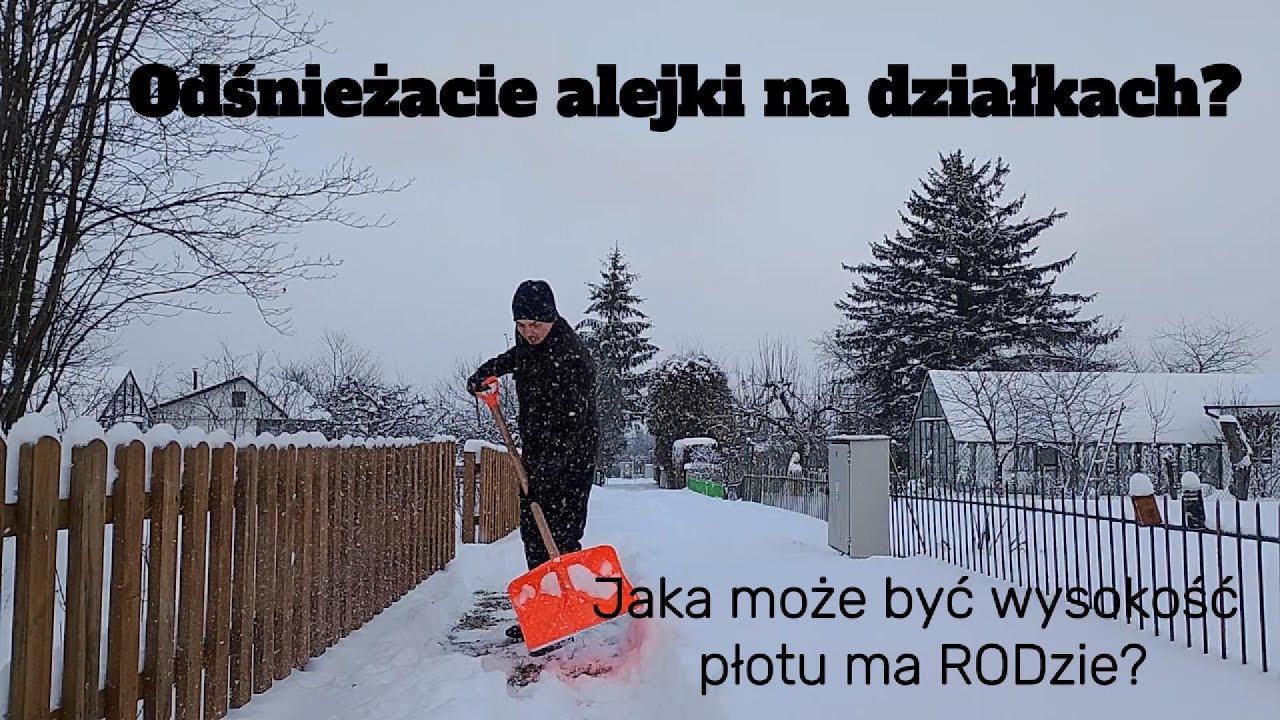 Czy trzeba odśnieżać alejki na działkach ROD? Jaka jest dopuszczalna wysokość płotu na działce?