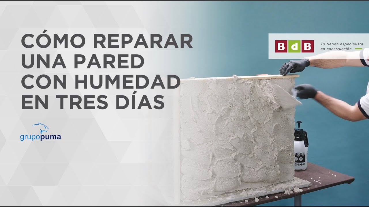 Cómo reparar una pared con humedad en tres días