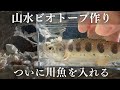 【ビオトープ作り】ついに山水で作った生簀にアマゴを入れる!