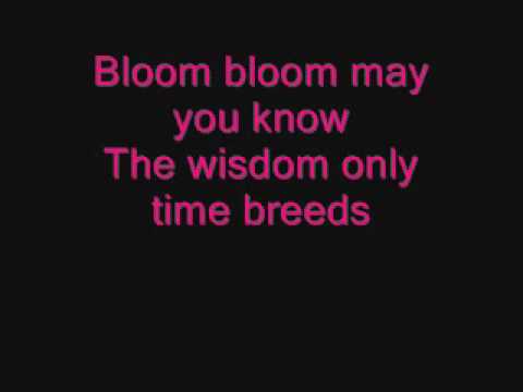 bloom bloom lyrics