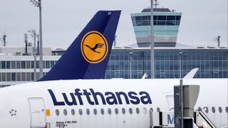 The German Giant with Low-cost Services - Flight Algiers to Frankfurt: Lufthansa