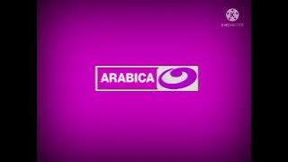 فاصل قديمة قناة النهار أراببكا 2012-2011