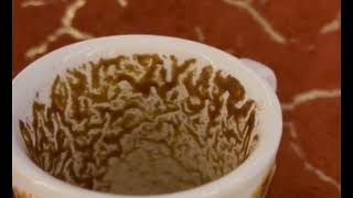 Leo Your Comeback Story Starts Now Coffee Cup Reading