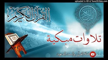 سورة البقرة | بصوت الشيخ علي راشد الوصابي وفقة الله _ اليمن _ ذمار