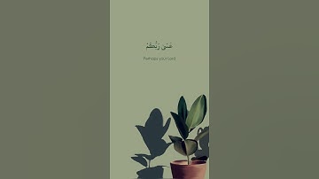 ﴿ تُوبُوا إِلَى اللَّهِ تَوْبَةً نَّصُوحًا ﴾ | ماهر المعيقلي - سورة "التحريم"