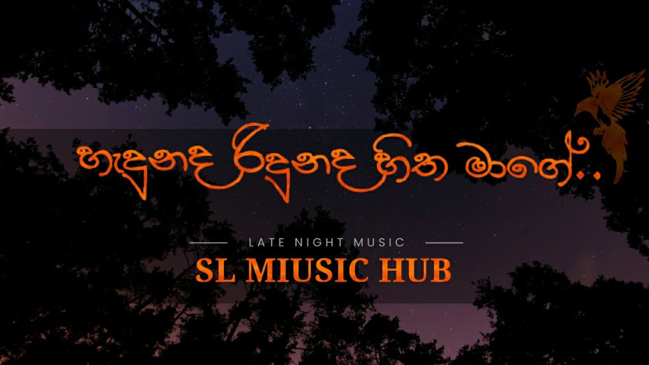 Hadunada Ridunada Hitha Mage Hedunada Ridunada Hitha Mage|Dinesh Tharanga X skay Jay|SL MIUSIC HUB🎼