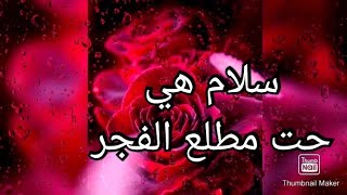 سورة القدر بصوت هادئ وجميل(حالات واتس اب قرآن ) أنوار إيمانية@Naser._