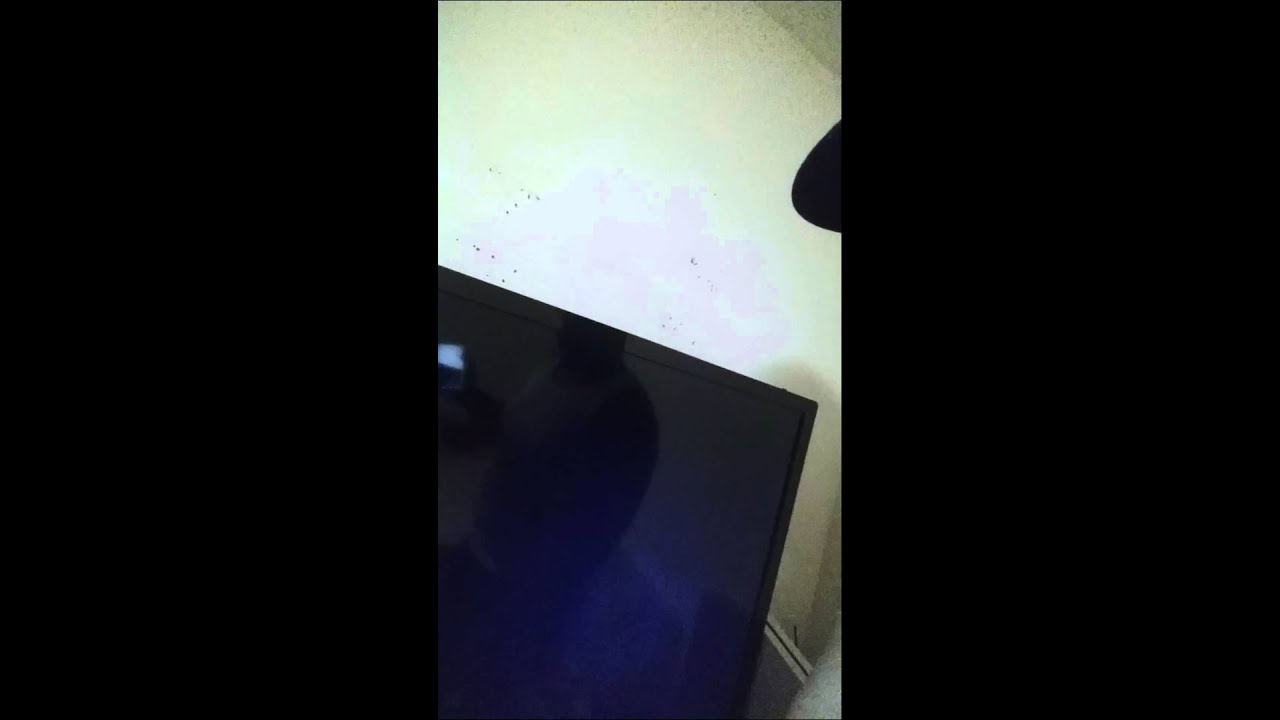 PlayStation 4 sound but no picture YouTube
