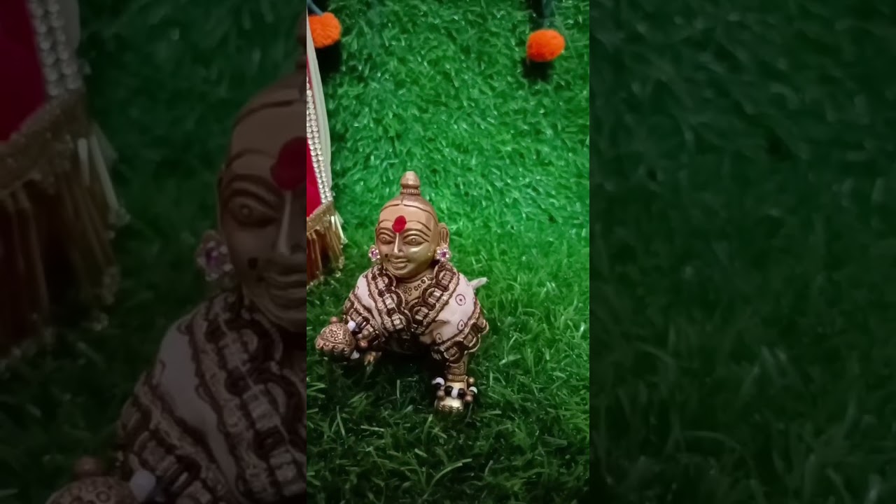laddu gopal shorts 