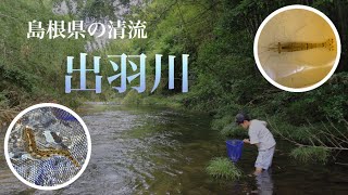 【出羽川】島根県の清流