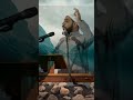 زكريا بطرس اللذي سب النبي