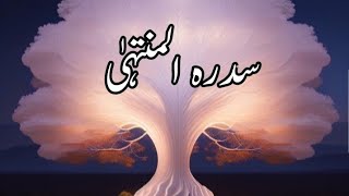 Sidratul Muntaha kya hai | Tree on 7th sky | Sidra tul muntaha and blackhole | İslamic story |Urdu |