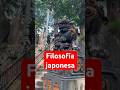 Hermoso templo en Japón #budismo #japon #ninjutsu #ninja #samurai #artesmarciales #filosofia #budo