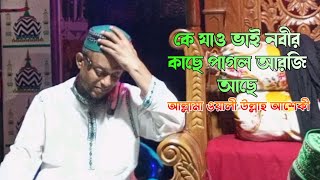 কে যাও ভাই নবীর কাছে পাগল আরজি আছে | হাফেজ মোহাম্মদ ওয়ালি উল্লাহ আশেকী | Oliullah Asheki gojol