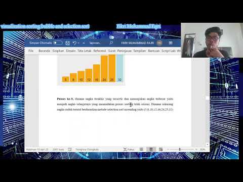 visualization sorting selection sort and bubble