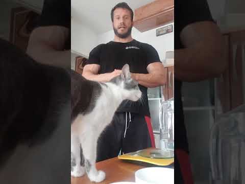 De gramos peso proteina por kilo de