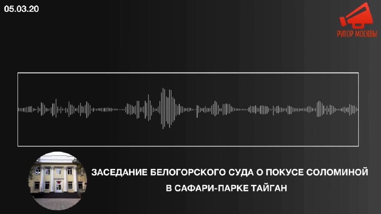 Заседание суда о покусе Соломиной в сафари-парке Тайган 05.03.20 (аудио) / REFEED 07.03.20