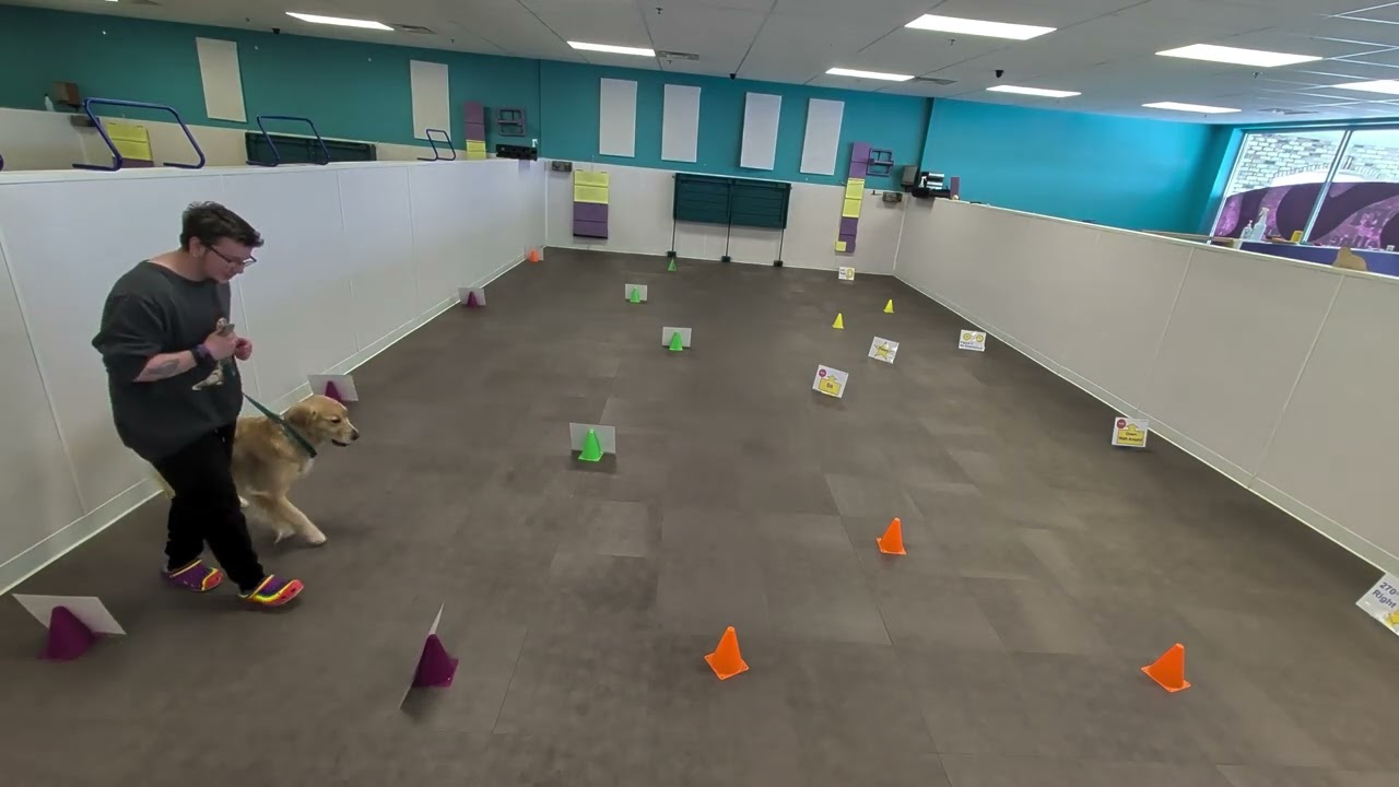 Virtual Rally Novice Course #1- 