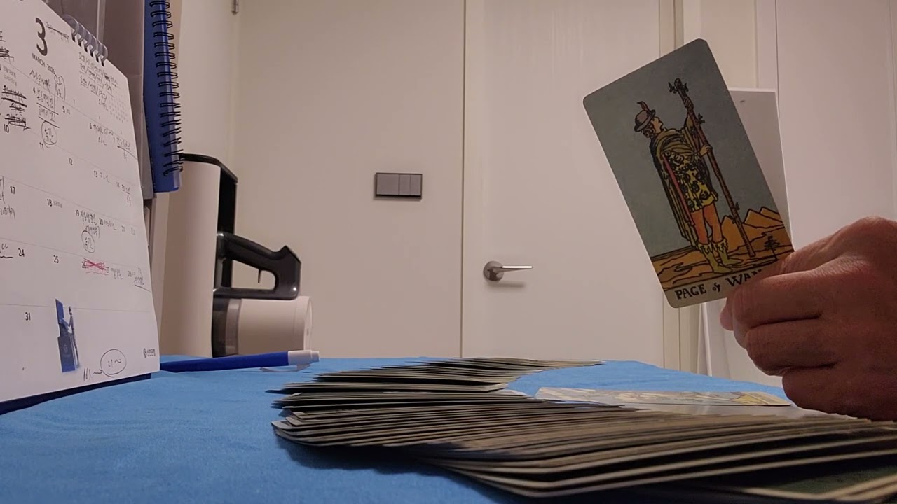 #타로로본주식시장(26.03.04)