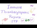 Immune thrombocytopenia itp  most comprehensive explanation  hematology