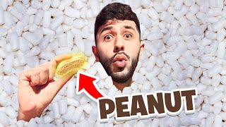 Find The REAL Peanut in 1,000,000 Packing Peanuts Pool!