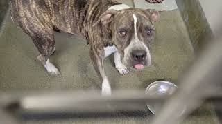 acs A654658