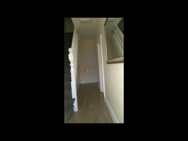 Video 1: Dinner/Kitchen