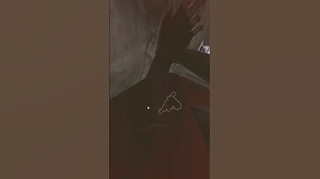 Rust wants me prim locked