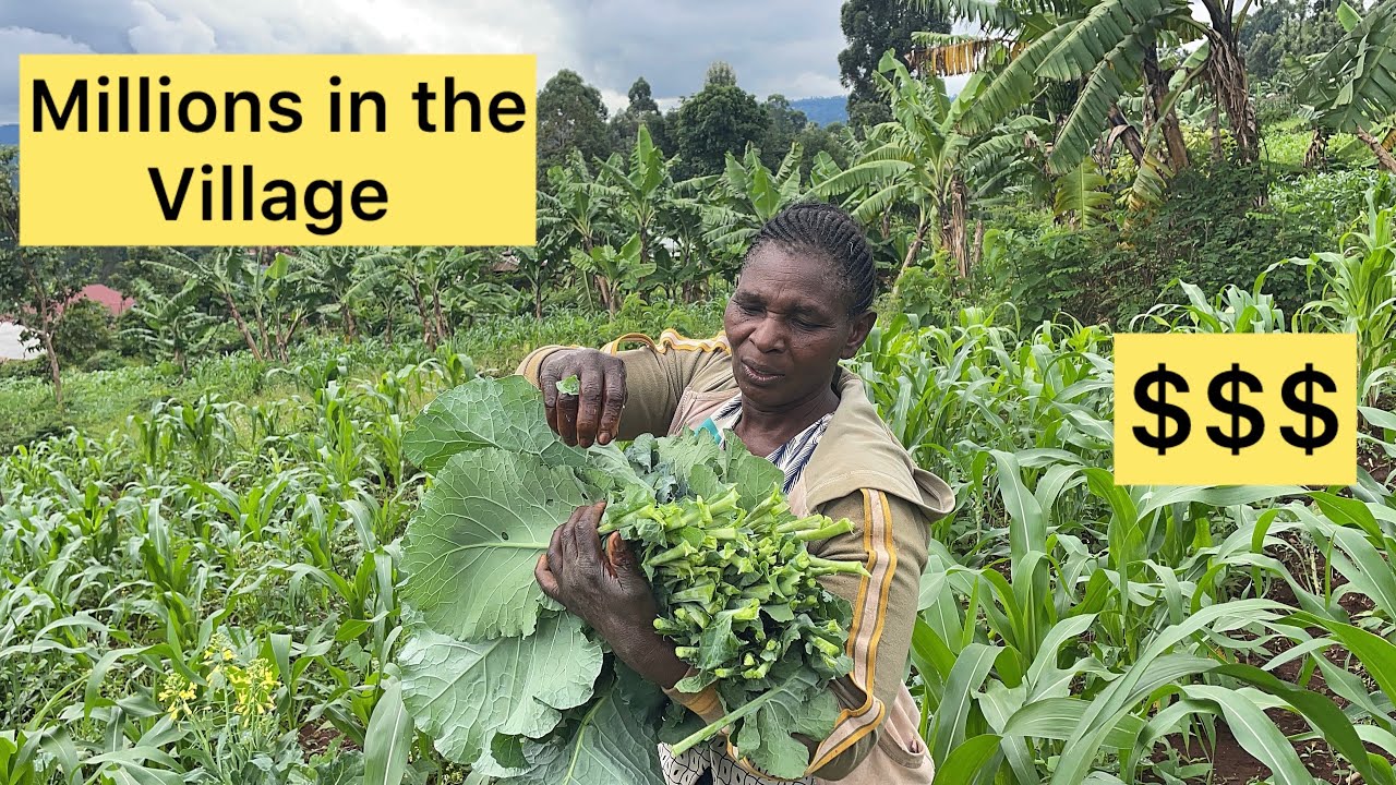 SEE HOW THIS FARM MADE US MILLIONS IN THE VILLAGE - YouTube