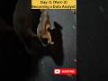 How to Becoming a Data Analyst in 100 Days 😔😔😯 #minivlog #challenge #analyticalskills #analytictools