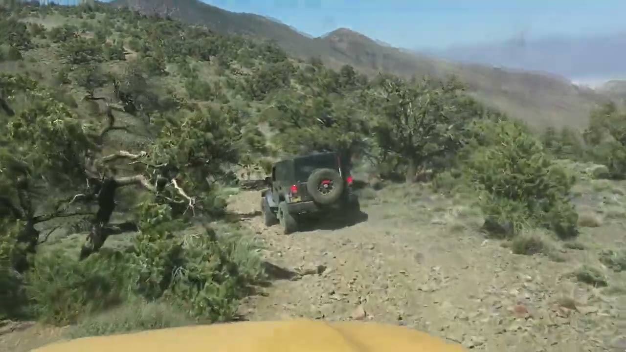 Scenic Climb With Rogers