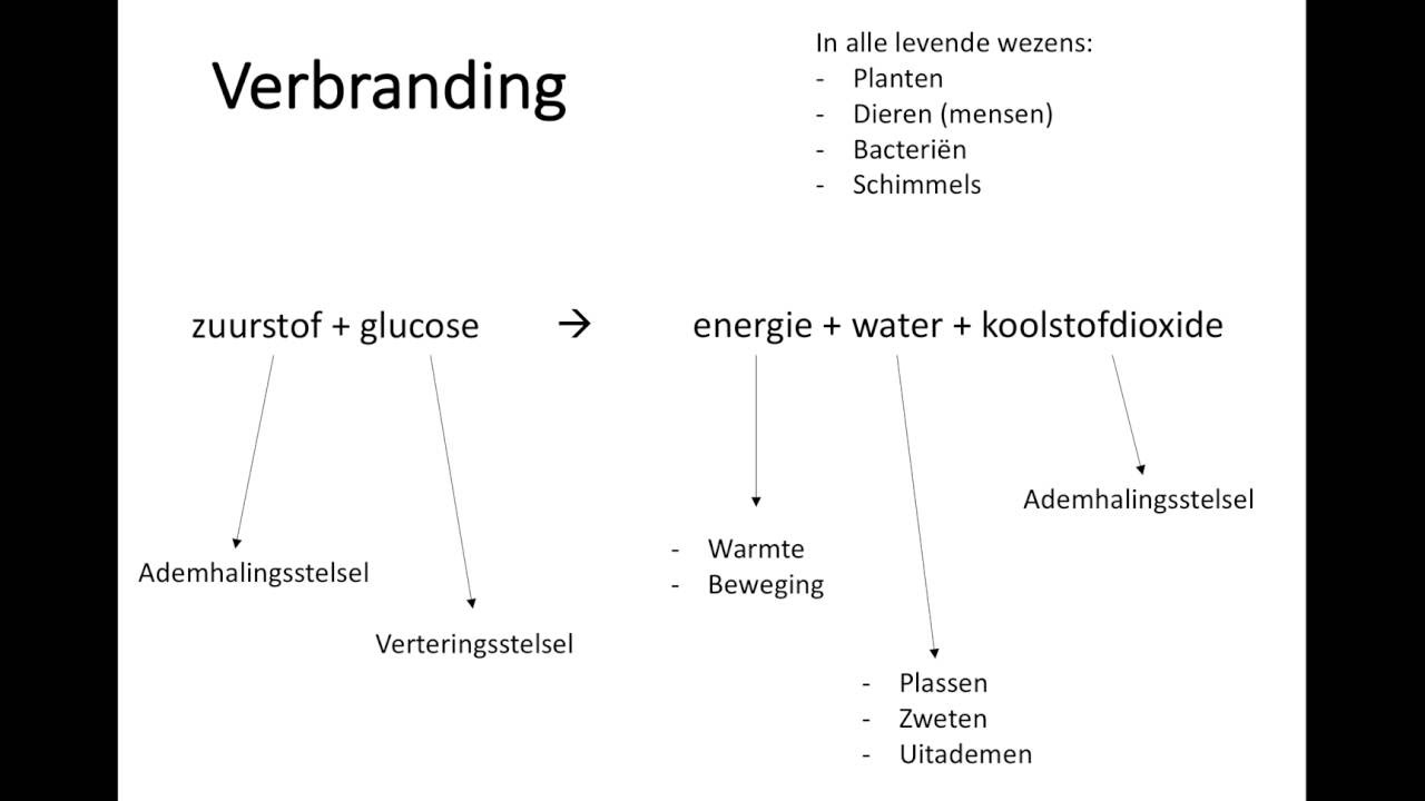 Verbranding YouTube Verbranding YouTube