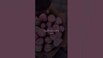 سورة القدر