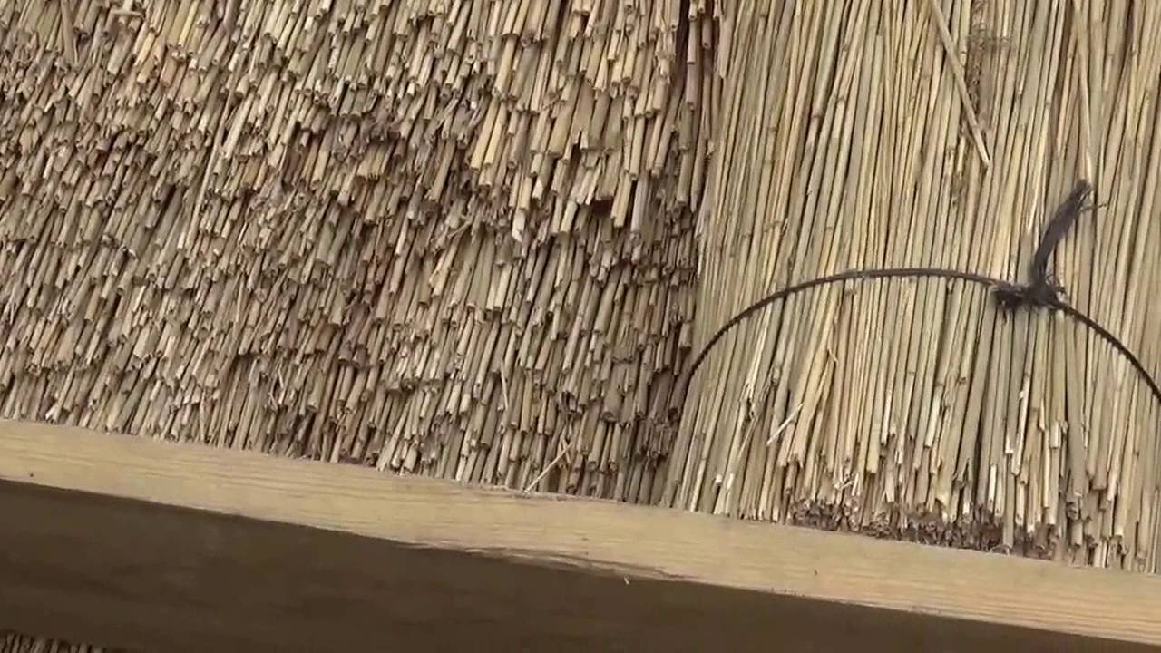 Jak pokrywano dach trzciną - folklor portal wiano.eu