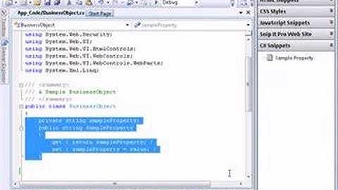 Snip-It Pro, Ultimate Snippet Manager Overview Video