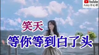 好文分享《有一种等待》💞【等你等到白了头】演唱：笑天💞