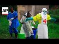 New Ebola outbreak has killed 65 people in a remote Congo province